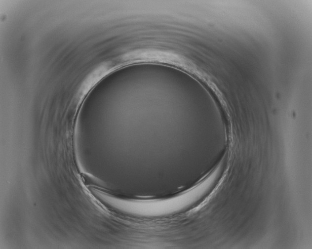 X0000086301529200703301149