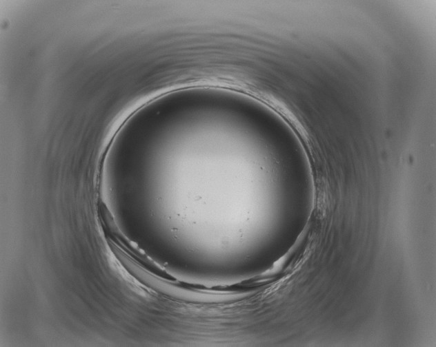 X0000086301532200703301149