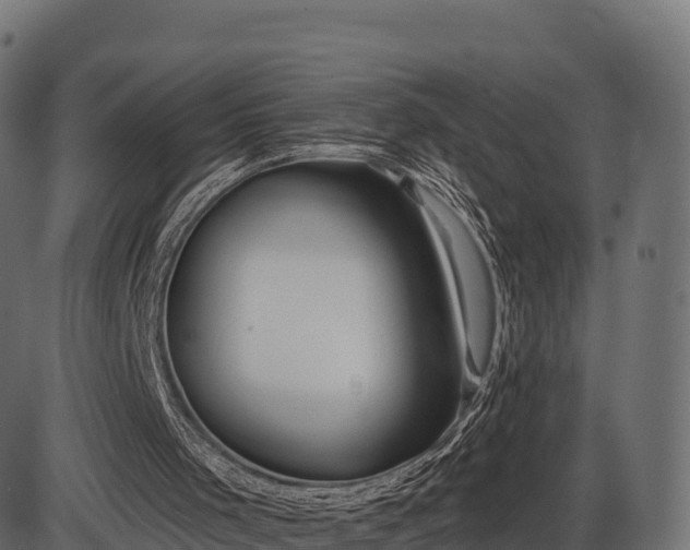 X0000086300001200704091033