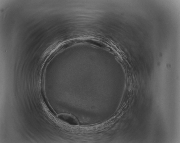 X0000086300002200704091033