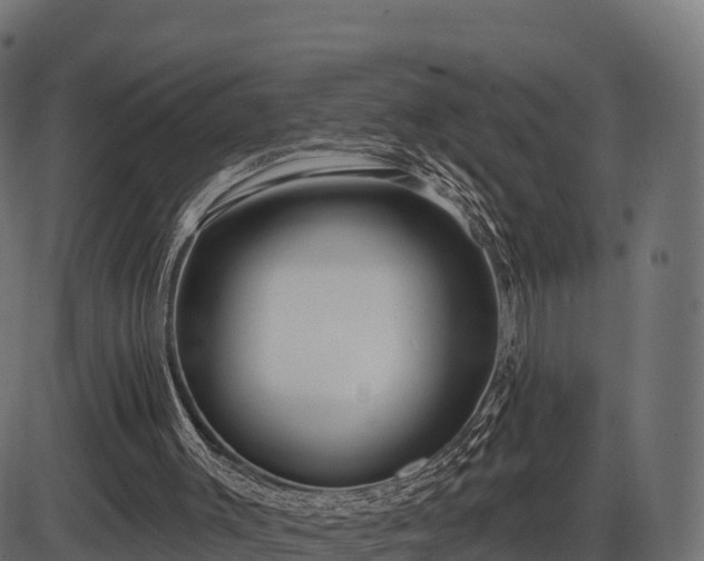 X0000086300003200704091033