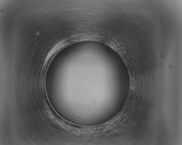 X0000086300004200704091033