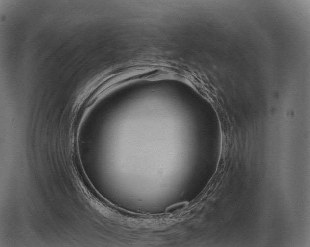 X0000086300005200704091033