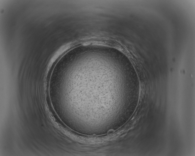 X0000086300006200704091033