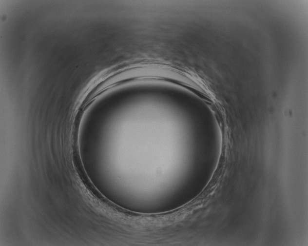 X0000086300007200704091033