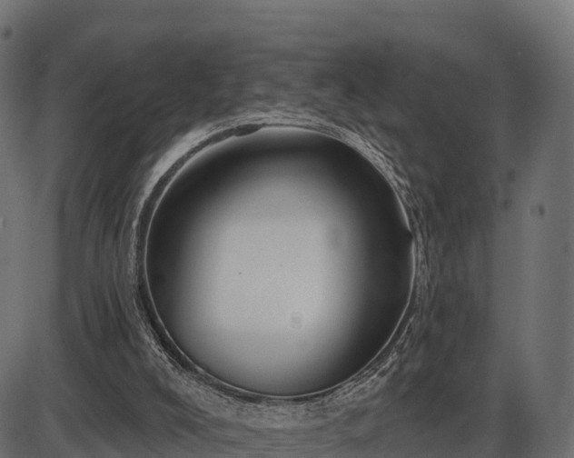 X0000086300008200704091033