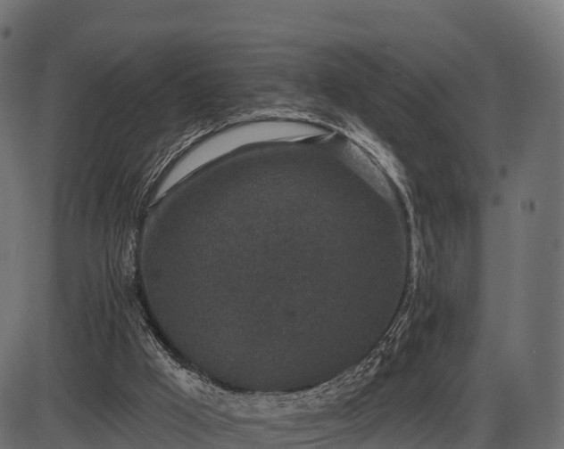 X0000086300009200704091033