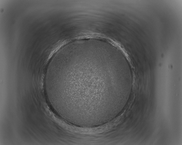 X0000086300010200704091033