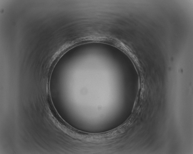 X0000086300011200704091033