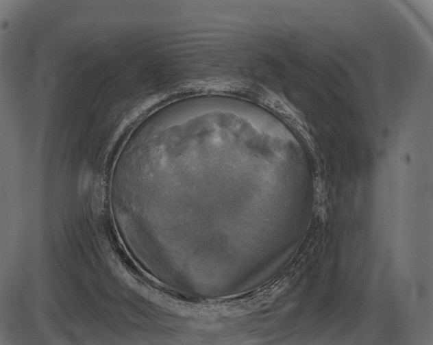 X0000086300012200704091033