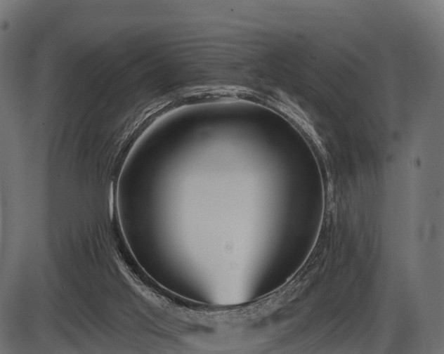 X0000086300013200704091033