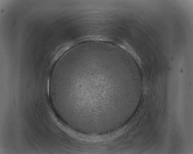 X0000086300014200704091033