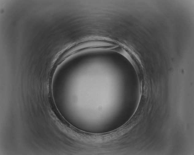 X0000086300015200704091033