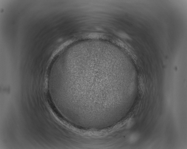 X0000086300016200704091033