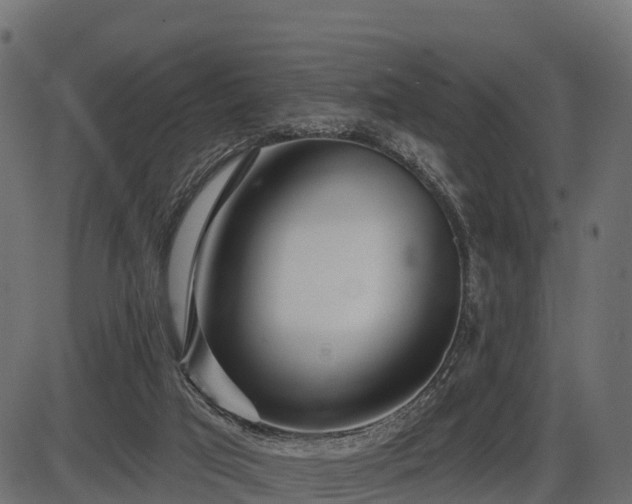 X0000086300017200704091033