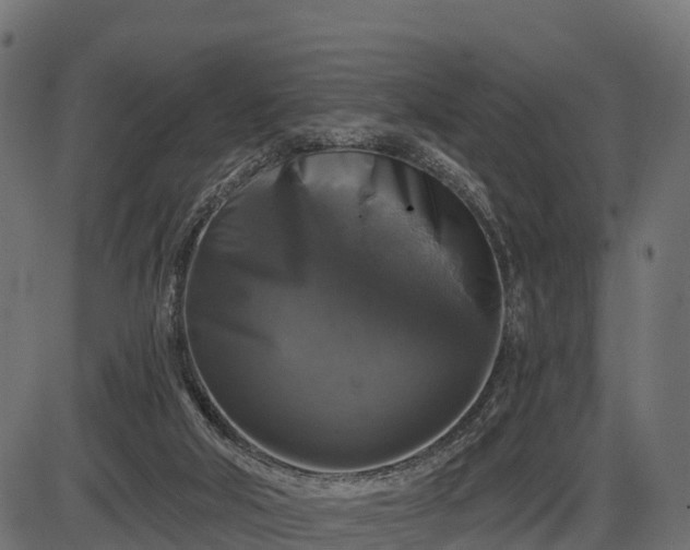 X0000086300018200704091033