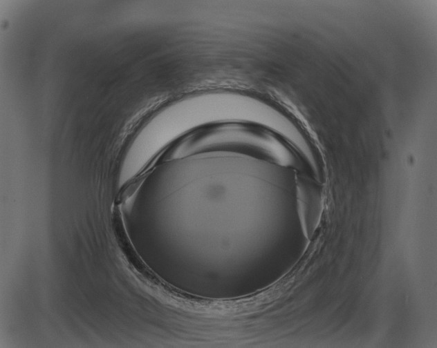 X0000086300019200704091033