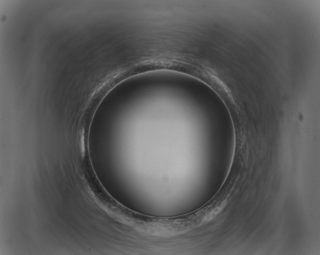 X0000086300020200704091033