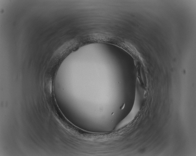 X0000086300021200704091033