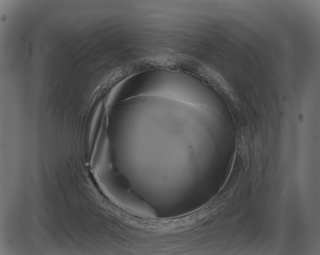 X0000086300023200704091033