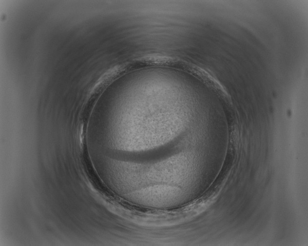 X0000086300024200704091033