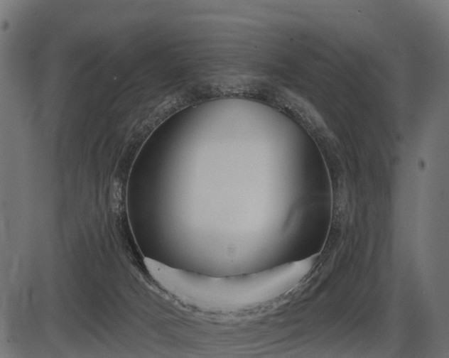 X0000086300025200704091033