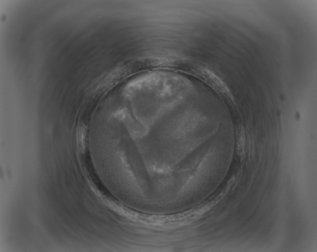 X0000086300026200704091033