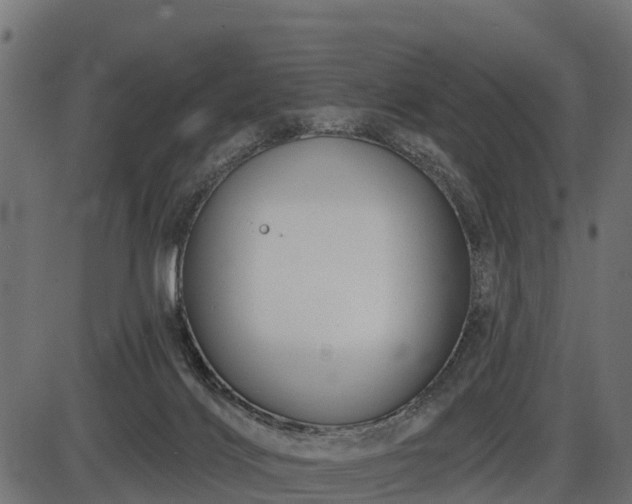 X0000086300028200704091033