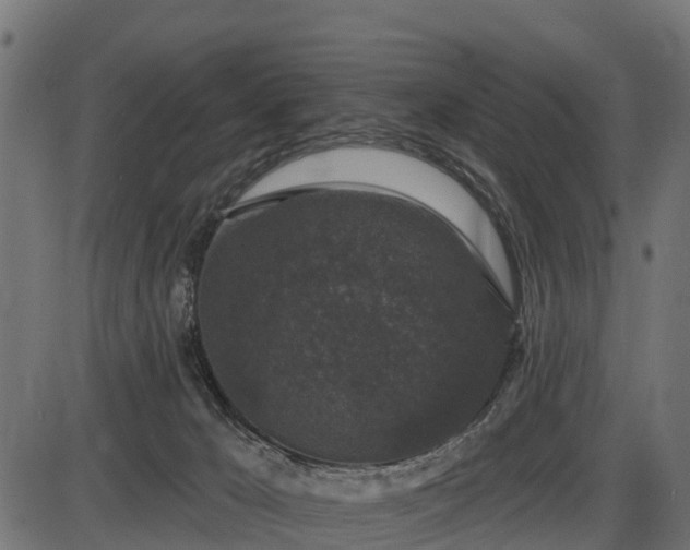 X0000086300029200704091033