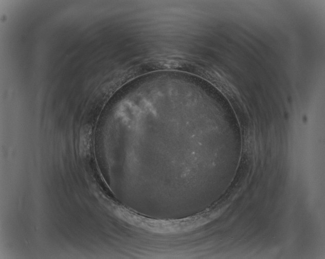 X0000086300030200704091033