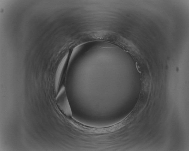 X0000086300031200704091033