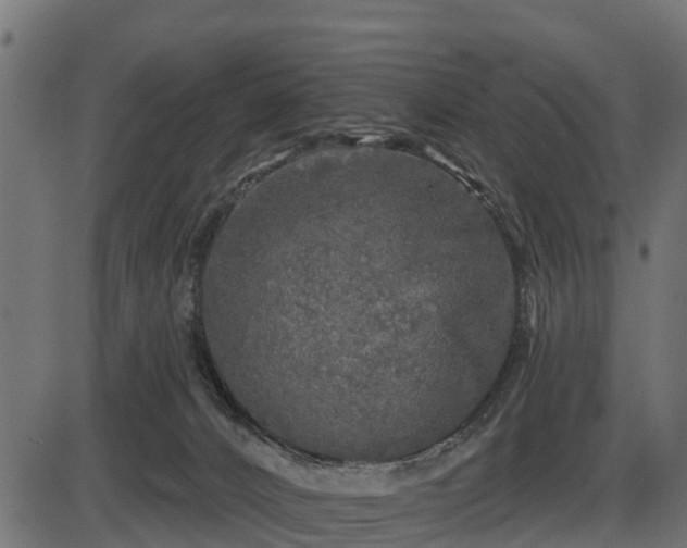 X0000086300032200704091033