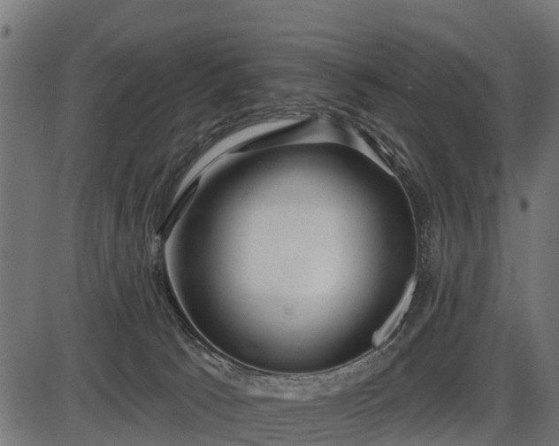 X0000086300033200704091033