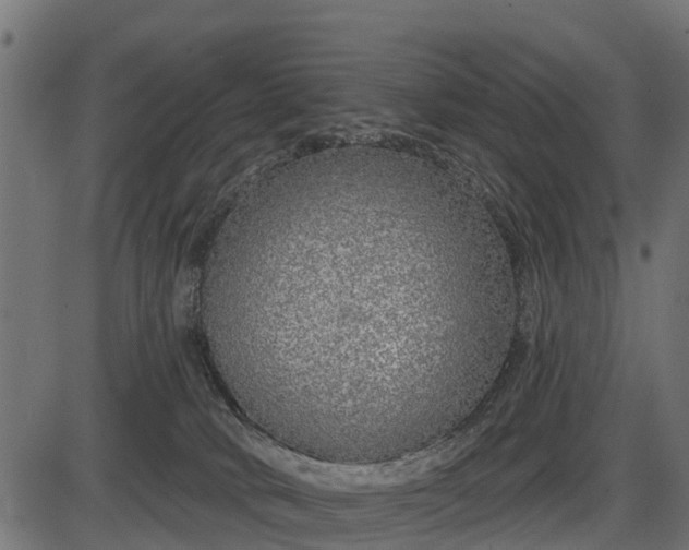 X0000086300034200704091032