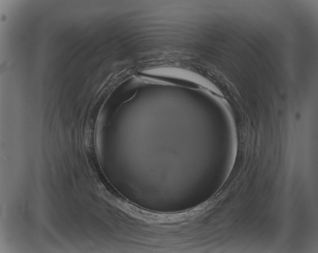 X0000086300035200704091032