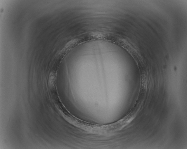 X0000086300036200704091032