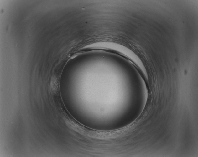 X0000086300037200704091032