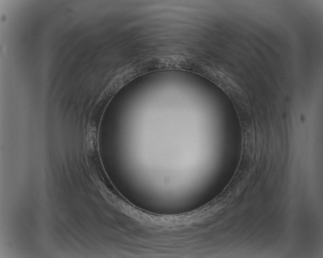 X0000086300038200704091032