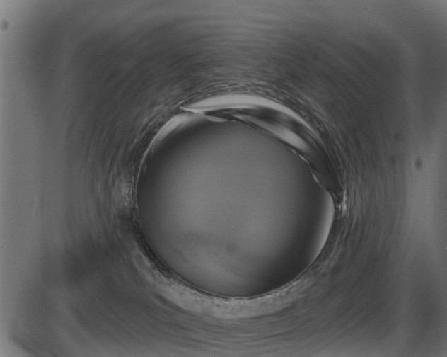 X0000086300039200704091032