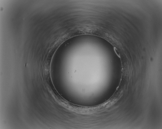 X0000086300040200704091032