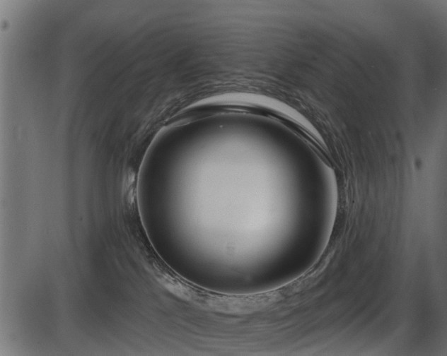 X0000086300041200704091032