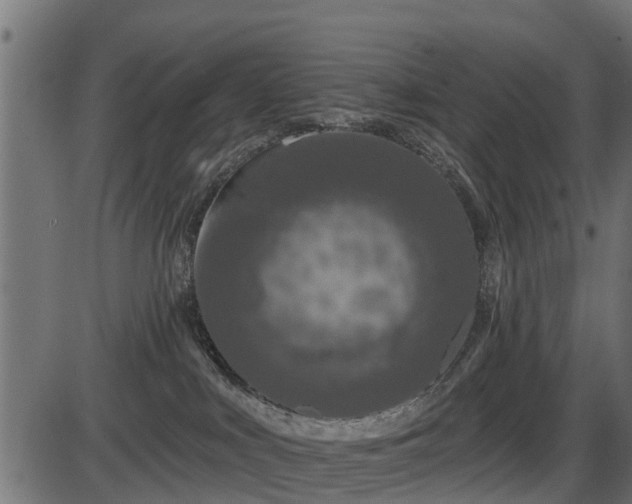 X0000086300043200704091032