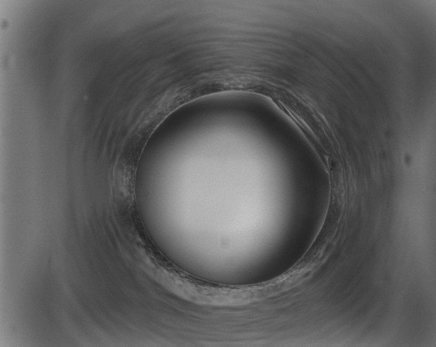 X0000086300044200704091032