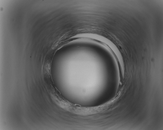 X0000086300045200704091032