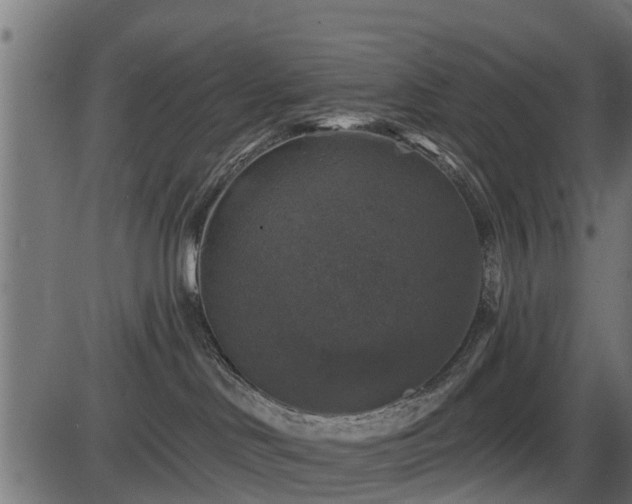 X0000086300046200704091032