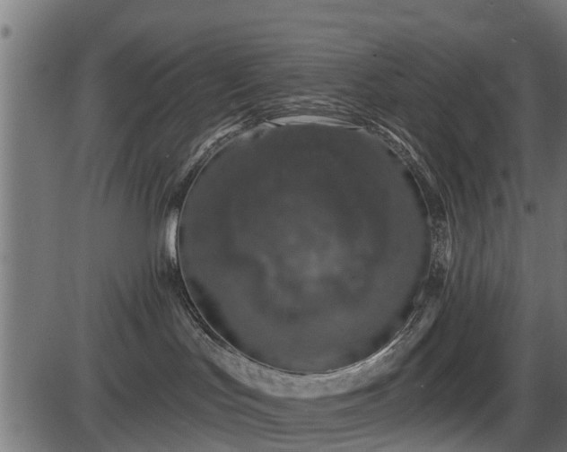 X0000086300047200704091032