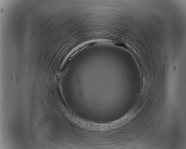 X0000086300048200704091032