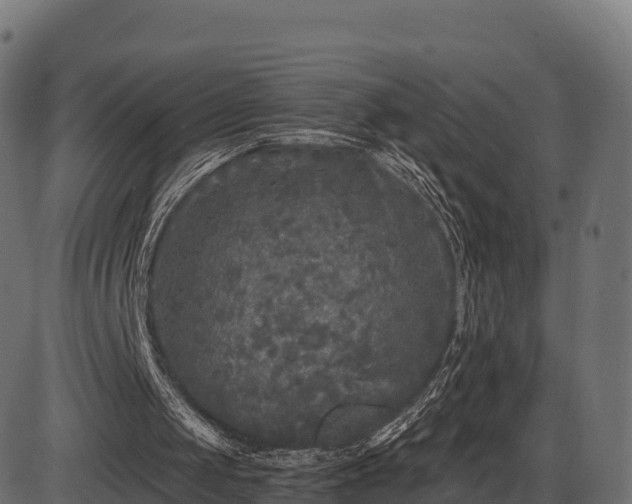 X0000086300049200704091031