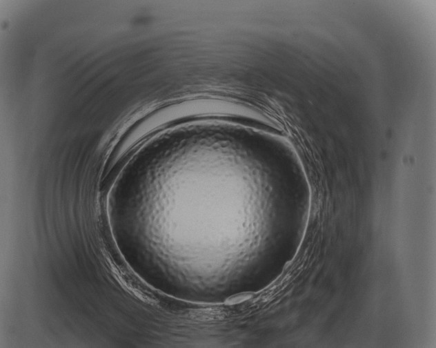 X0000086300050200704091031