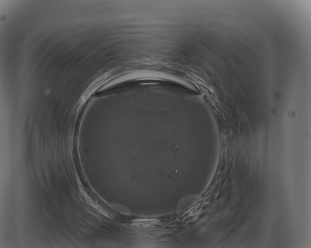 X0000086300051200704091031